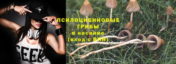 спиды Алзамай