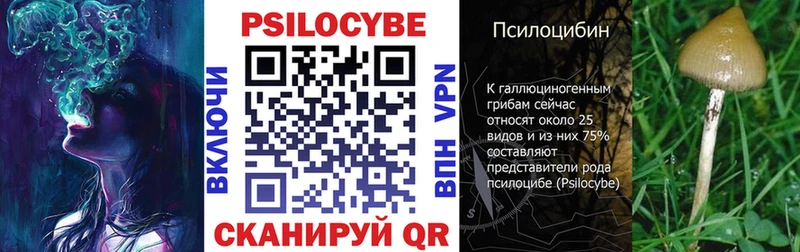 Галлюциногенные грибы мицелий  где найти наркотики  Дубна 