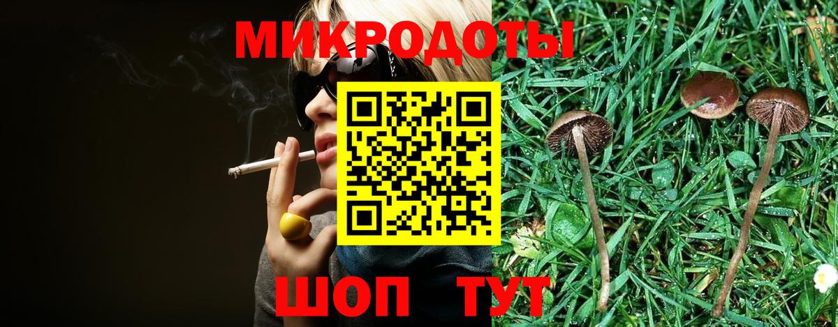 Псилоцибиновые грибы Cubensis Дубна