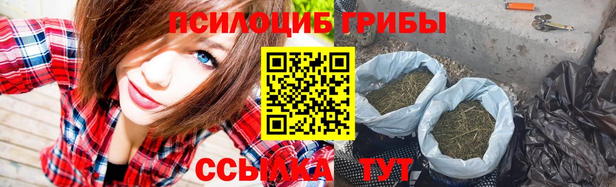 Галлюциногенные грибы GOLDEN TEACHER  Вход с VPN  Дубна 